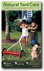 Natural Yard Care brochure cover