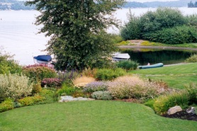 Lakeshore After Planting