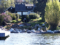 softened shoreline after construction