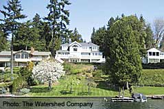 lawn to lake